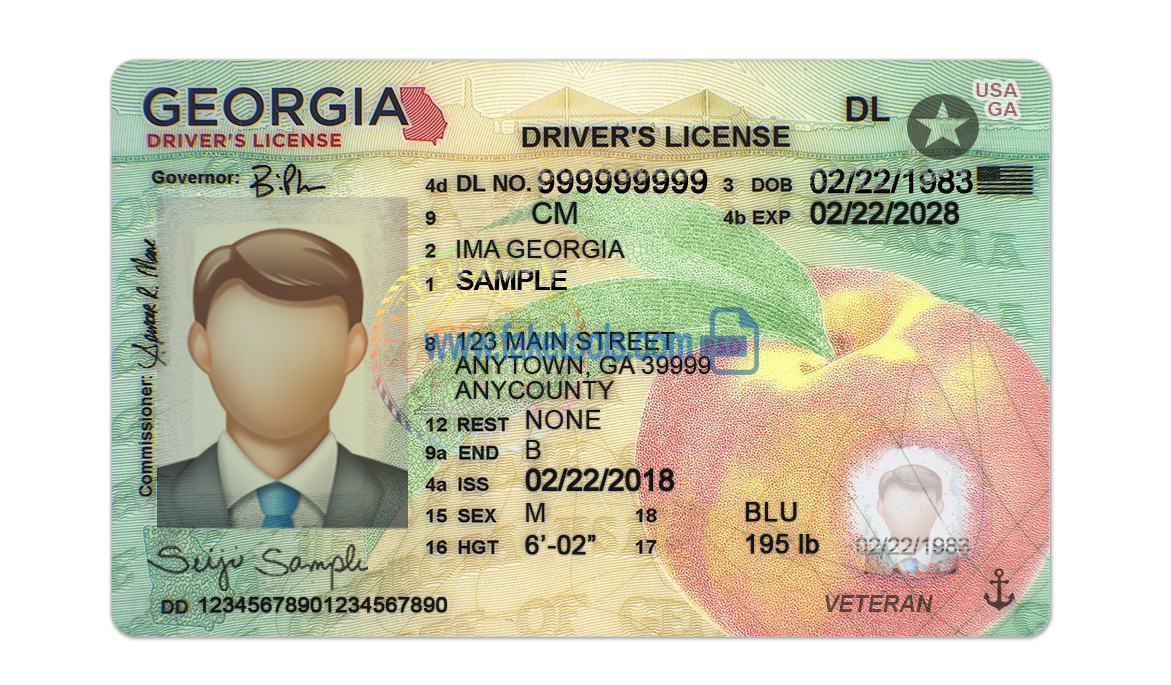 Editable blank Georgia driver license template psd pdf download