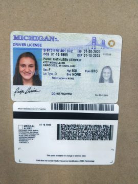 Editable blank Michigan driver license template psd pdf download