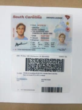 Editable blank South Carolina driver license template psd pdf download