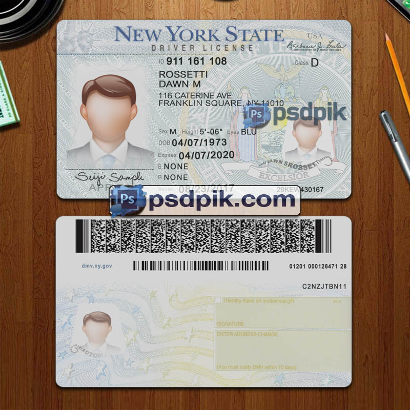 Editable blank New York driver license template psd pdf download