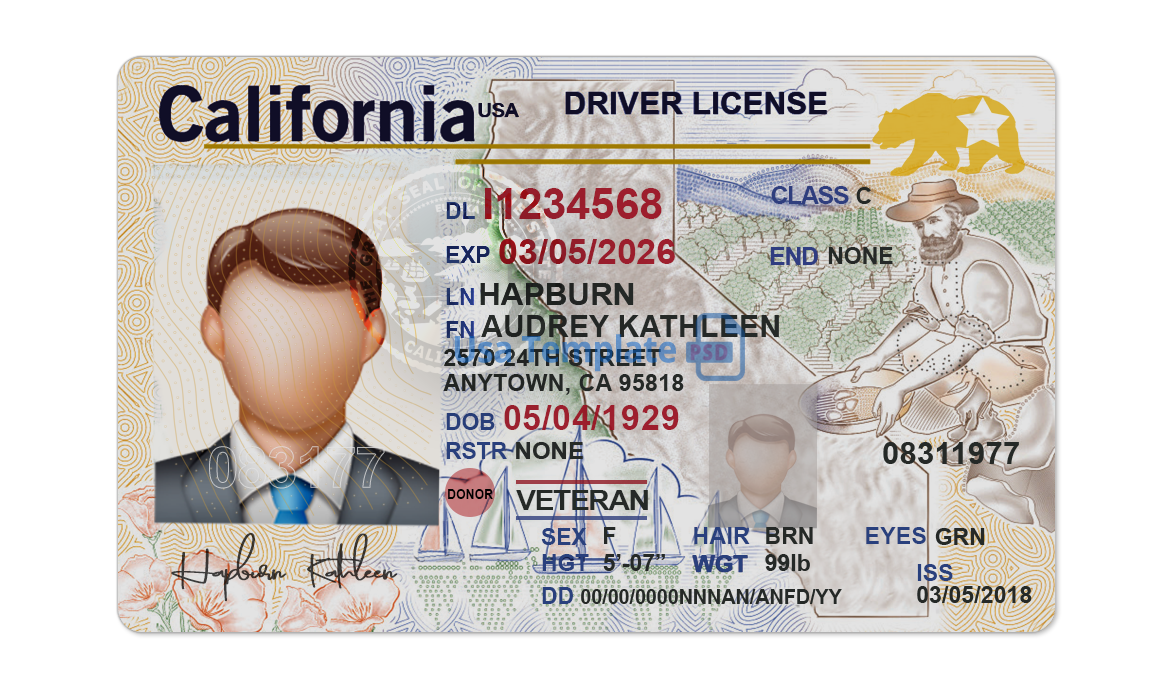 Editable blank California driver license template psd pdf download