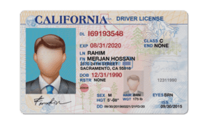 Editable blank California driver license template psd pdf download