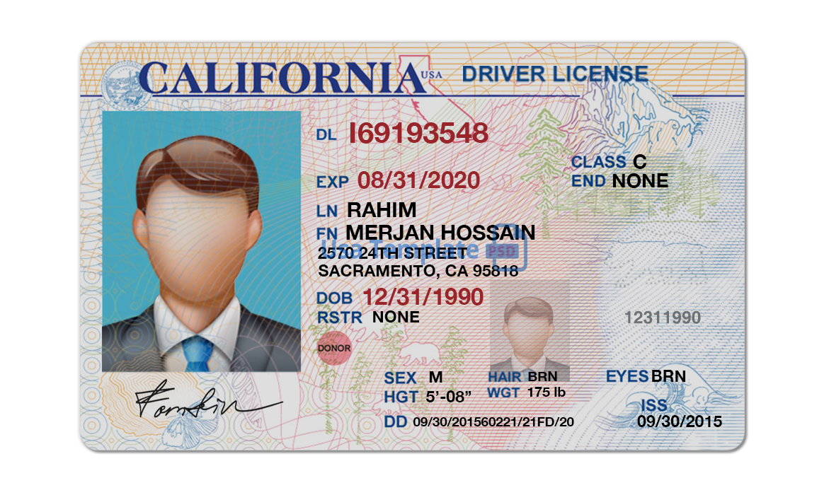 Editable blank California driver license template psd pdf download