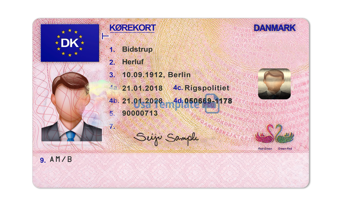 Editable blank Denmark driver license template psd pdf download