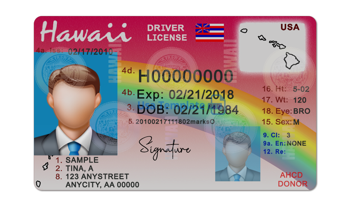 Editable blank Hawaii driver license template psd pdf download