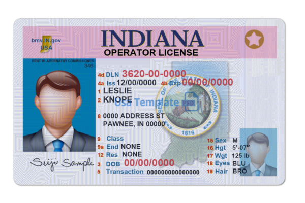 Editable blank Indiana driver license template psd pdf download