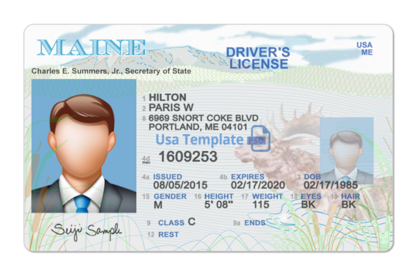 Editable blank Maine driver license template psd pdf download