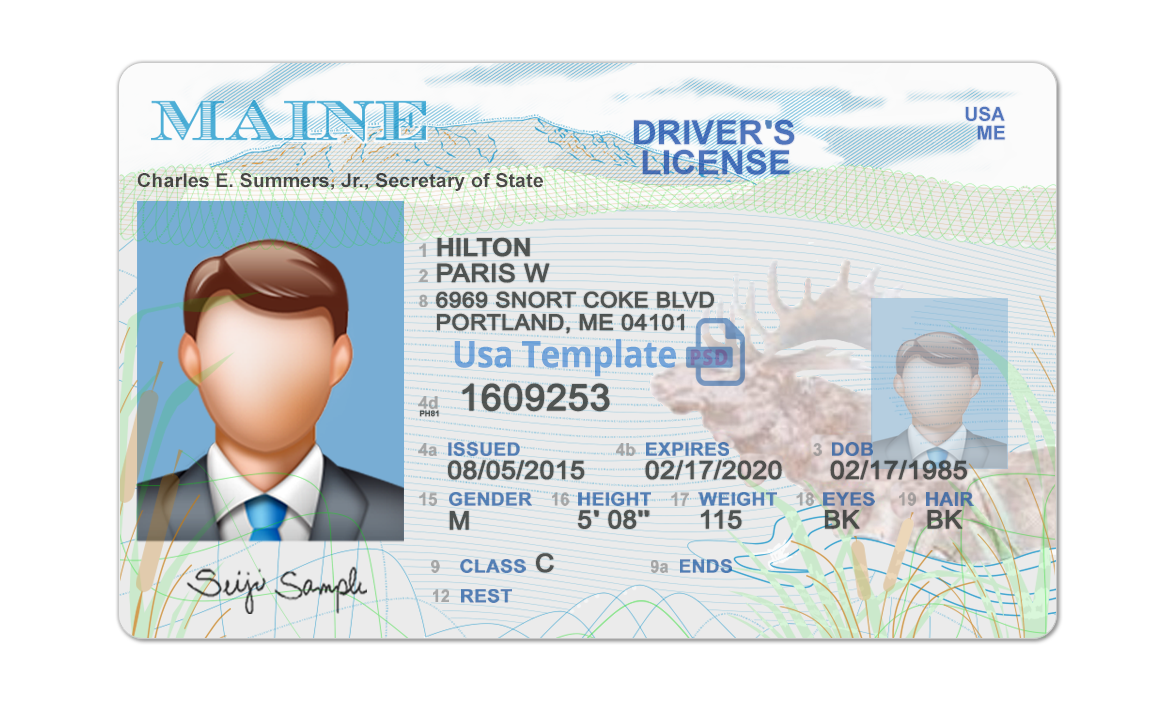 Editable blank Maine driver license template psd pdf download