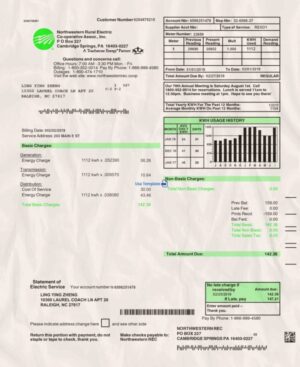 USA utility bill,USA proof of address: USA Electric bill psd template