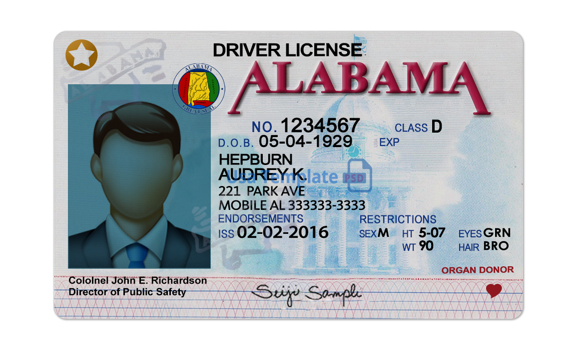 Editable blank Alabama driver license template psd pdf download