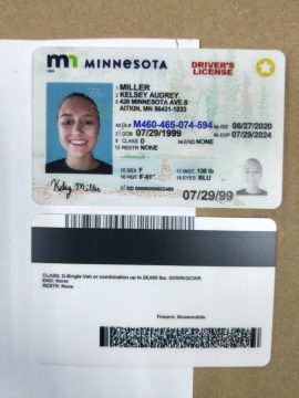 Editable blank Minnesota driver license template psd pdf download