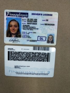 Pennsylvania driver license template psd pdf download