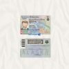 Alaska driver license template New