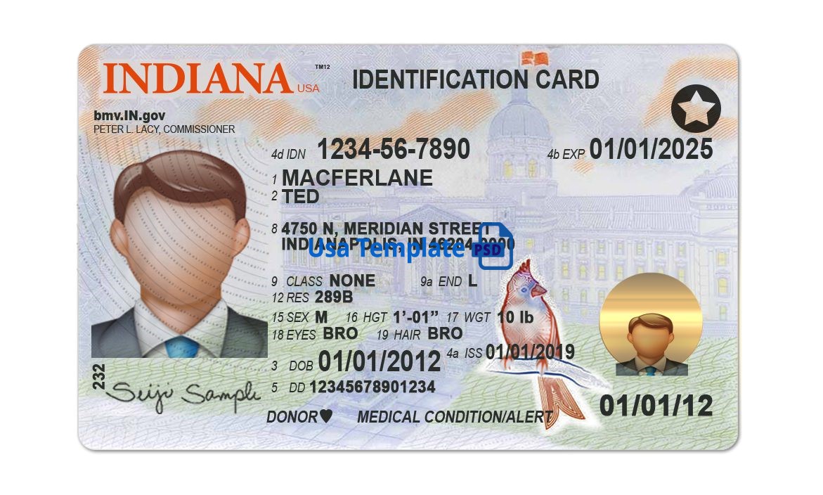 Editable blank Indiana driver license template psd pdf download