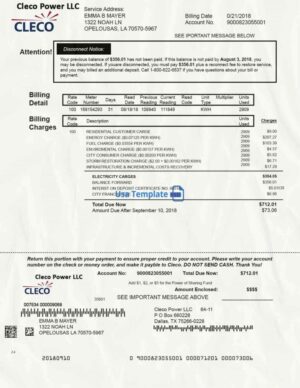 Louisiana Utility Bill psd Template: Louisiana Proof of address psd template