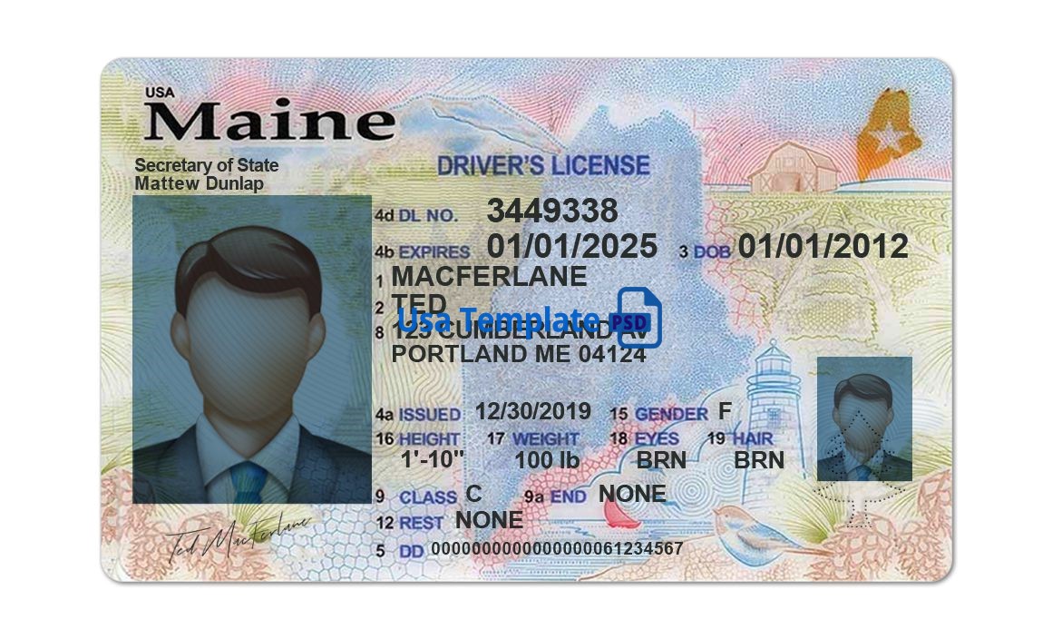 Editable blank Maine driver license template psd pdf download