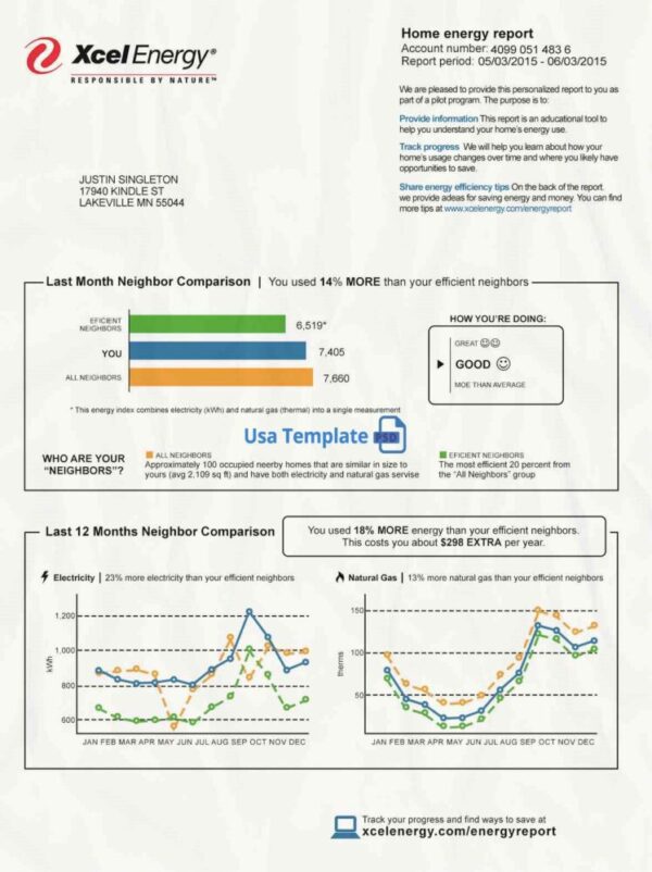 Xcel Energy Utility Bill psd Template: Xcel Energy Proof of address psd template