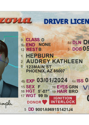 Editable blank Arizona driver license template psd pdf download