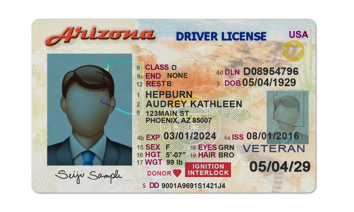 Editable blank Arizona driver license template psd pdf download