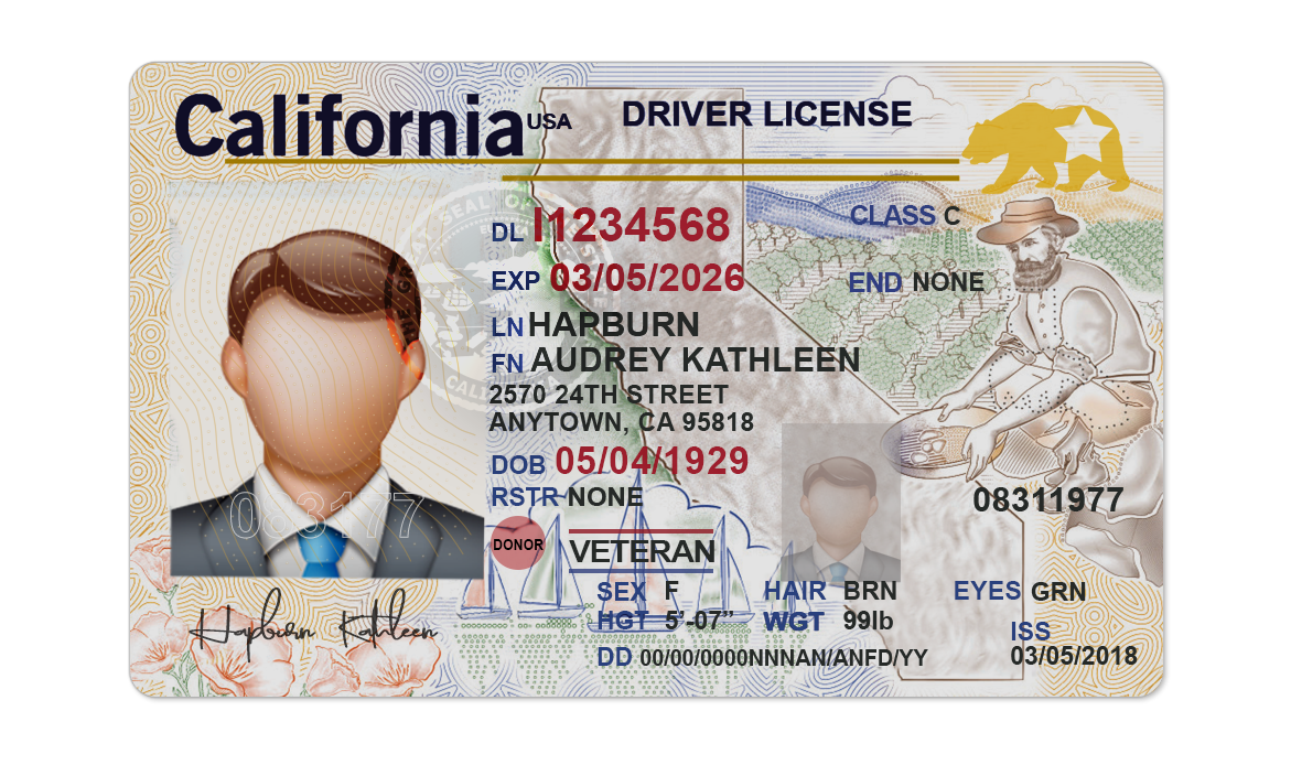 Editable blank California driver license template psd pdf download