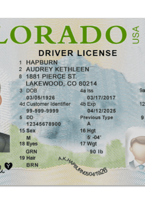 Editable blank Colorado driver license template psd pdf download