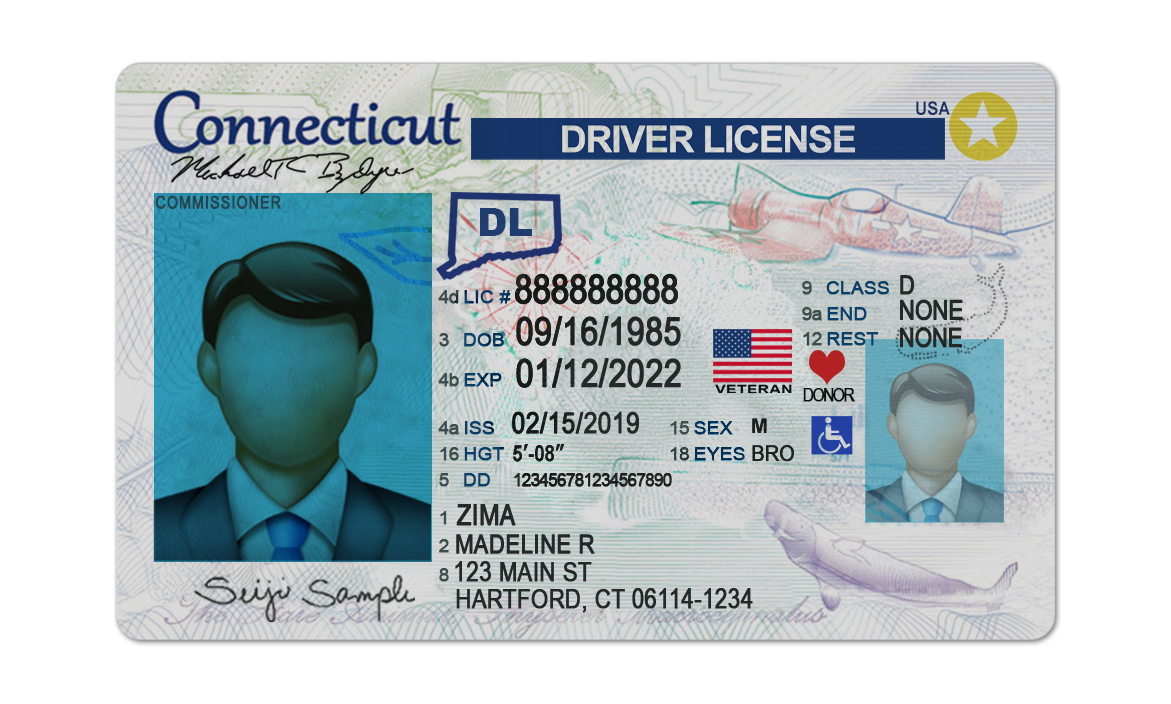 Editable blank Connecticut driver license template psd pdf download