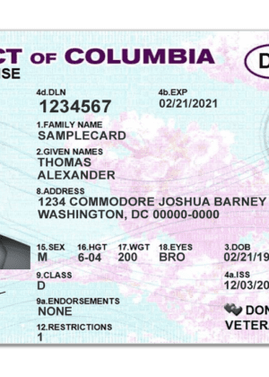 Editable blank District of Columbia driver license template psd pdf download