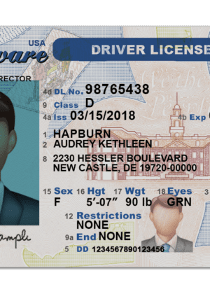 Editable blank Delaware driver license template psd pdf download