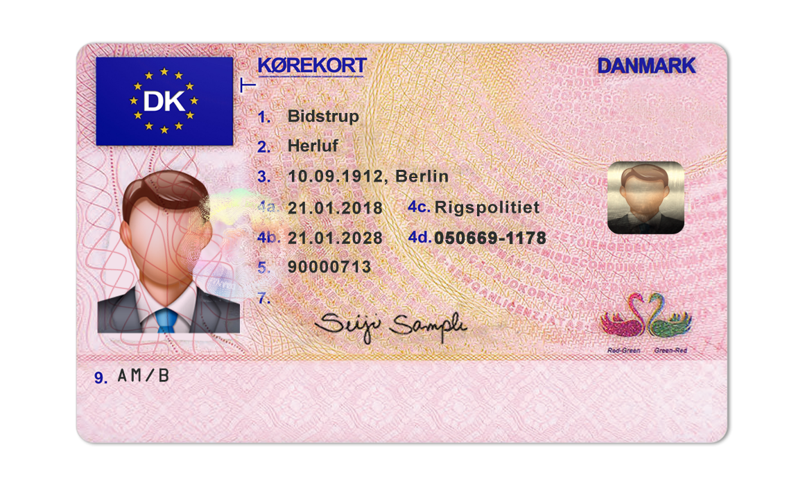 Editable blank Denmark driver license template psd pdf download