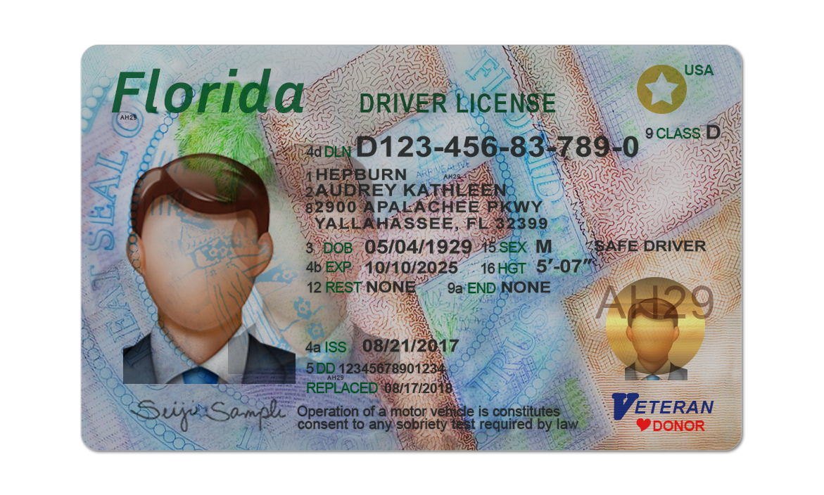 Editable blank Florida driver license template psd pdf download