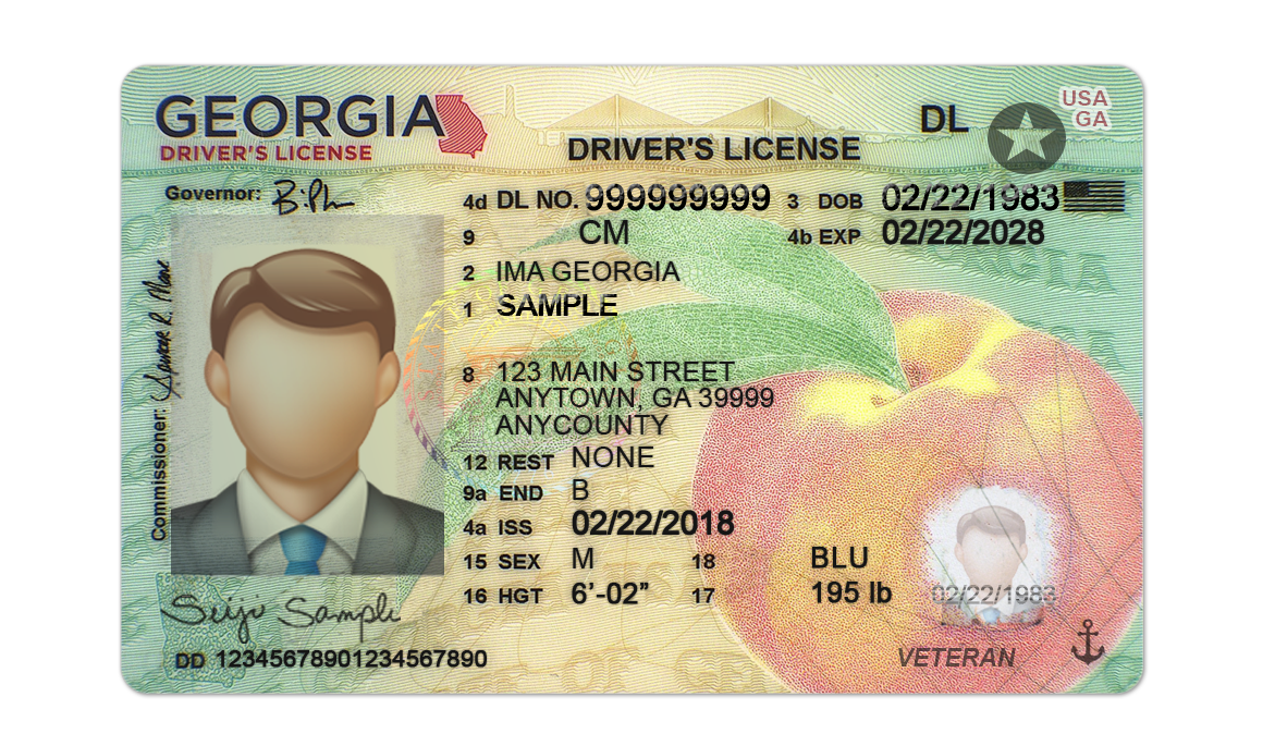 Editable blank Georgia driver license template psd pdf download