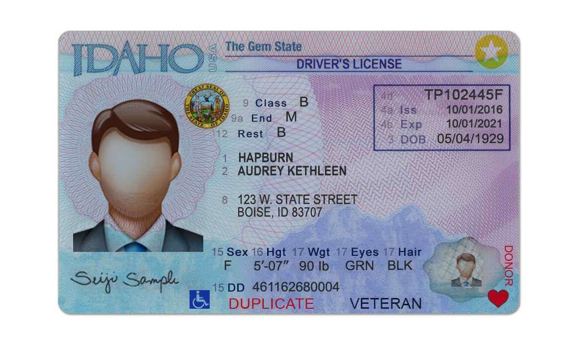 Editable blank Idaho driver license template psd pdf download