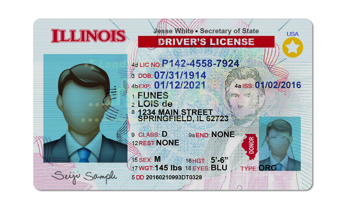 Editable blank Illinois driver license template psd pdf download