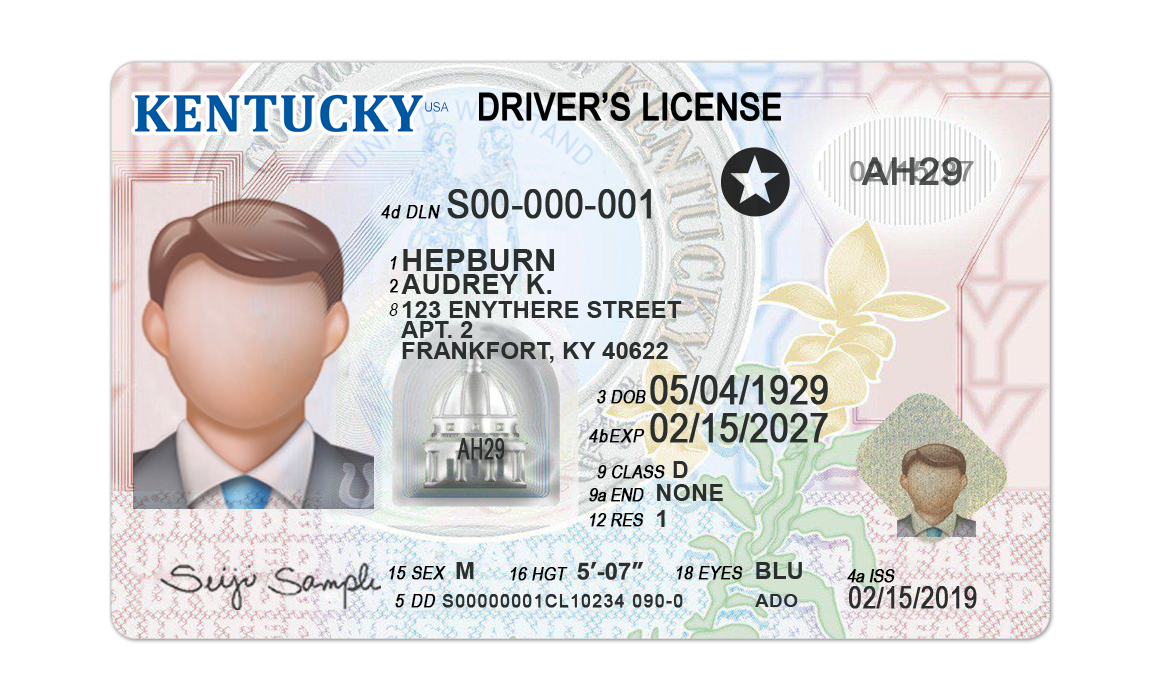 Editable blank Kentucky driver license template psd pdf download