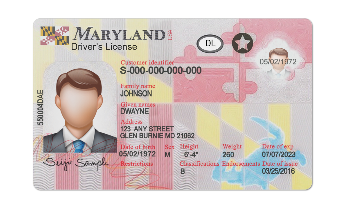 Editable blank Maryland driver license template psd pdf download