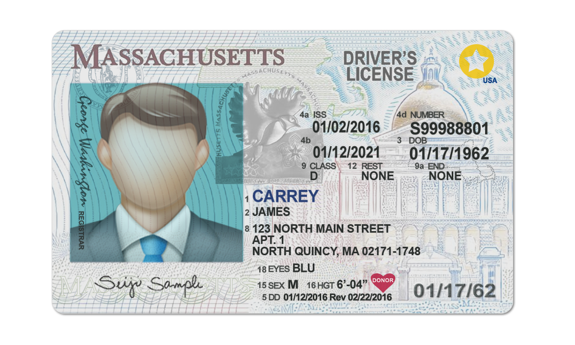 Editable blank Massachusetts driver license template psd pdf download