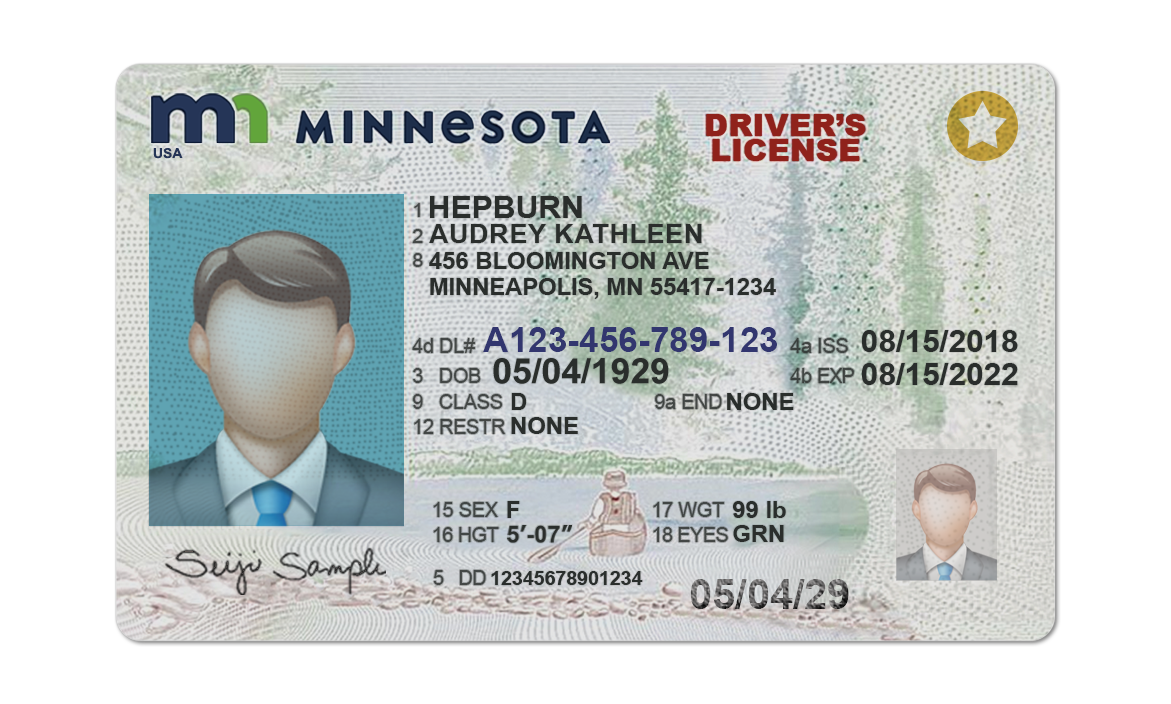 Editable blank Minnesota driver license template psd pdf download