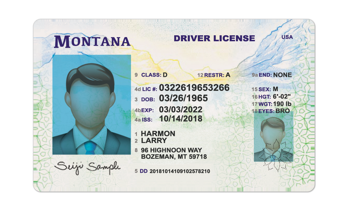 Editable blank Montana driver license template psd pdf download