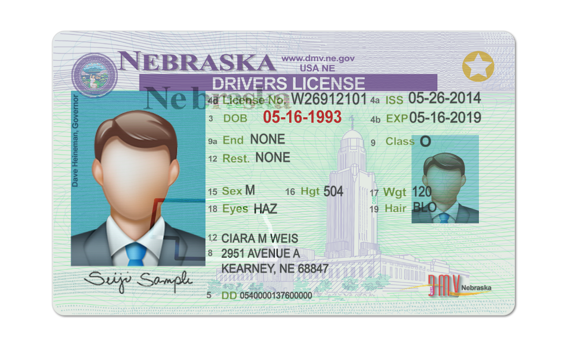 Editable blank Nebraska driver license template psd pdf download