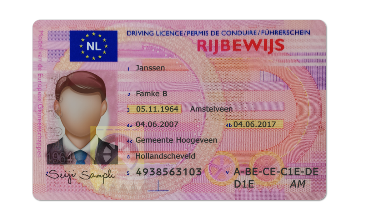 Editable blank Netherlands driver license template psd pdf download