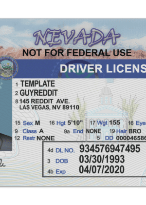 Editable blank Nevada driver license template psd pdf download