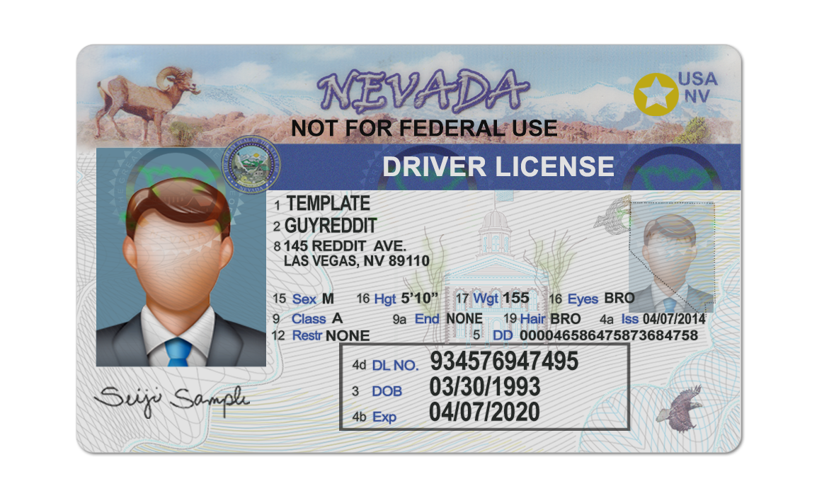 Editable blank Nevada driver license template psd pdf download