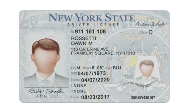 Editable blank New York driver license template psd pdf download