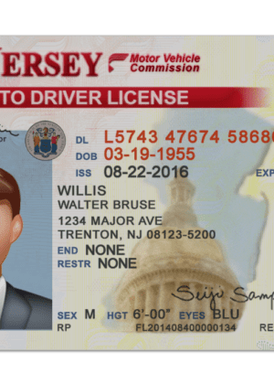 Editable blank New jersey driver license template psd pdf download