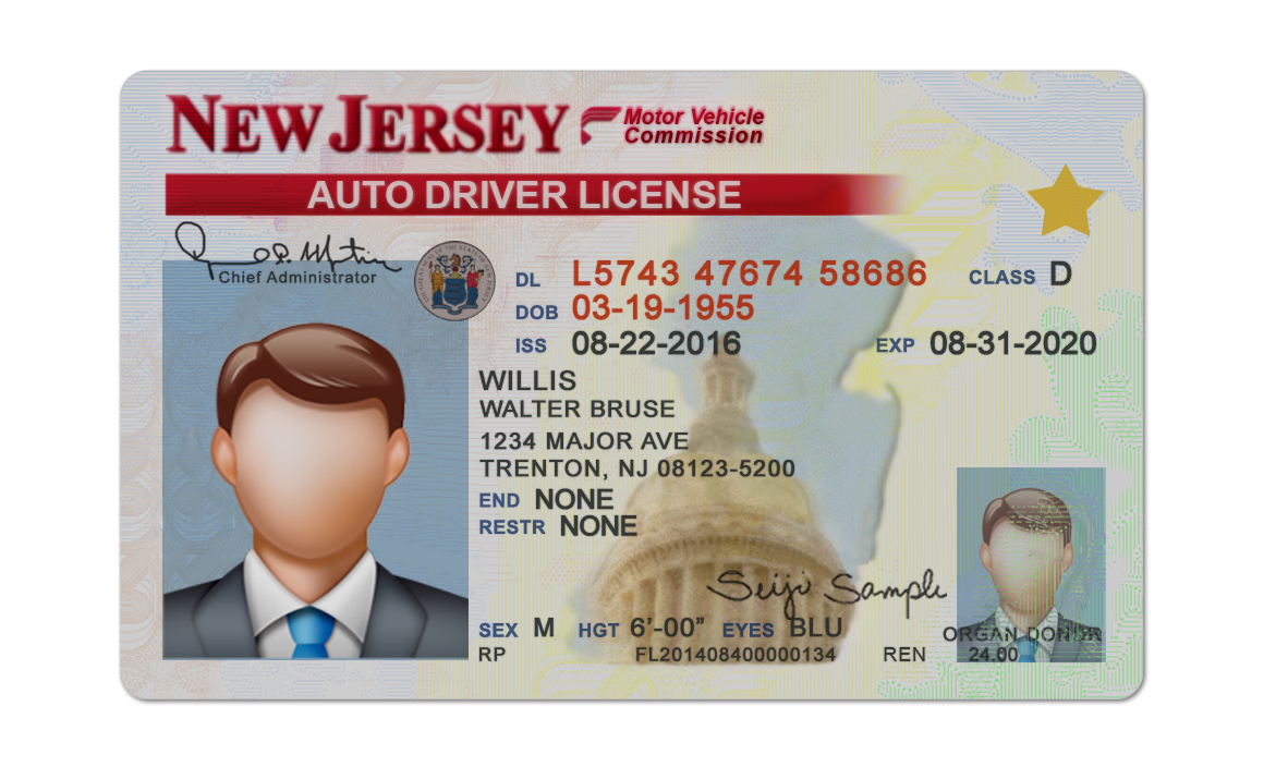 Editable blank New jersey driver license template psd pdf download