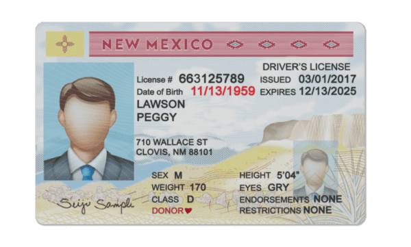 Editable blank New Mexico driver license template psd pdf download