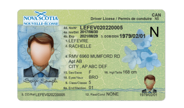 Editable blank Nova Scotia driver license template psd pdf download