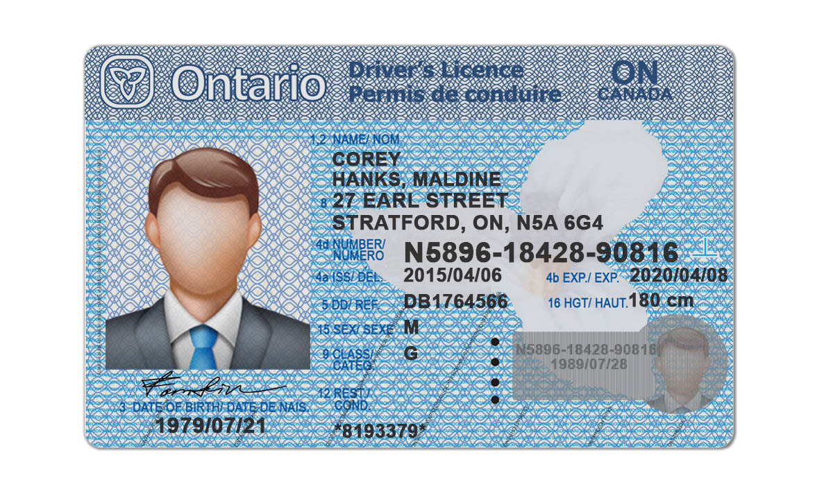 Editable blank Ontario driver license template psd pdf download