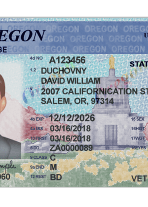 Editable blank Oregon driver license template psd pdf download