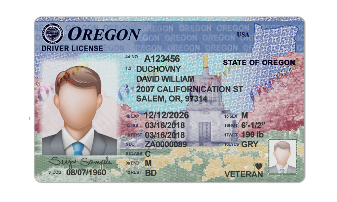 Editable blank Oregon driver license template psd pdf download